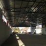 vita-szr